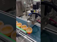 Αυτοματοποιημένη μηχανή γεμίσματος βάσης μακιγιάζ SUS304